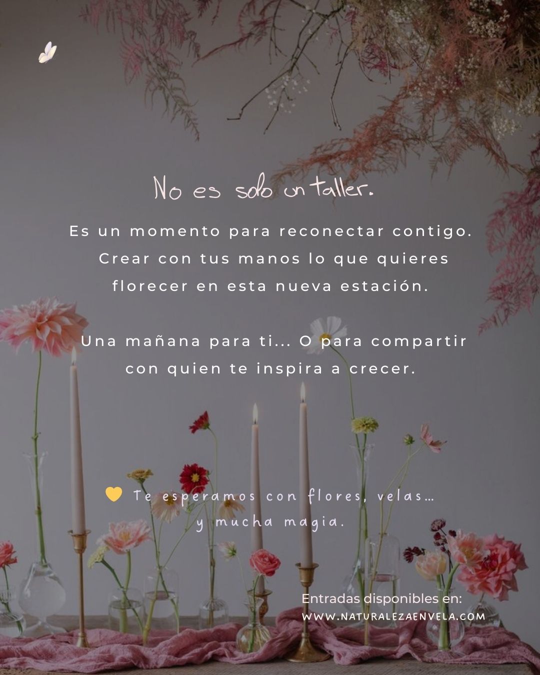 Taller Florecer Desde Dentro - 3 de Mayo
