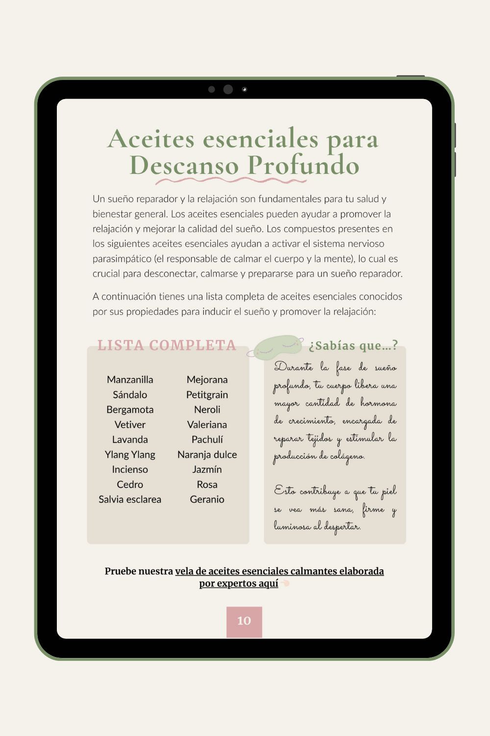 Essential Oils Guide for Your Holistic Well-being
