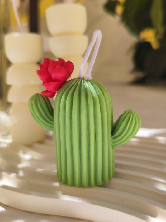 Cactus Decorativo